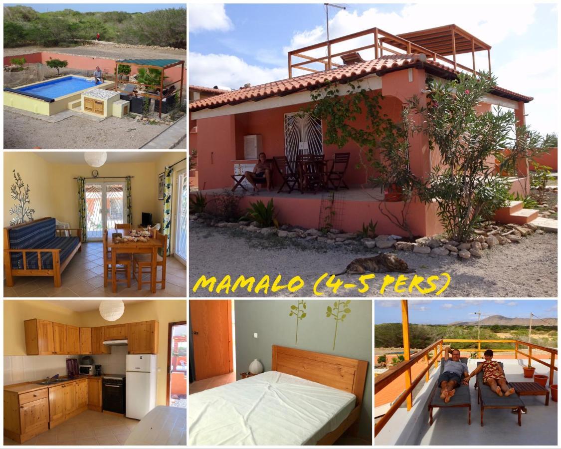 Holiday home A Caminhada